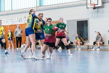 Bild 253 - F HSG Kremperheide/Muensterdorf - HSG HerKollNeu : Ergebnis: 43:29